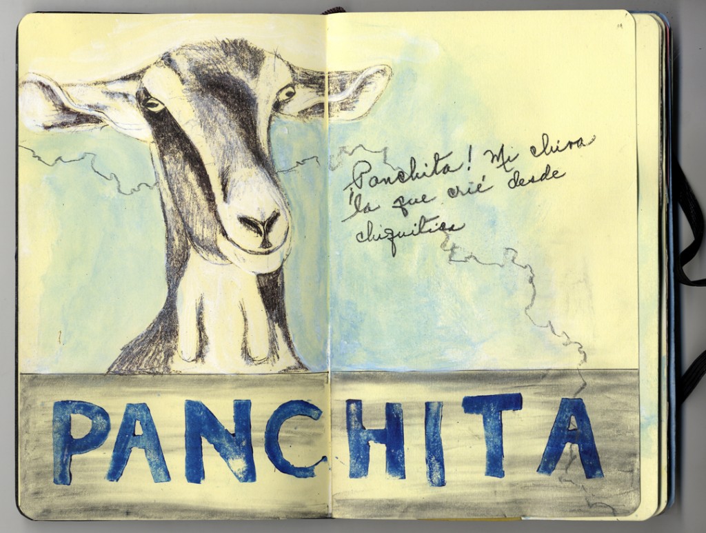 Panchita Sketchbook