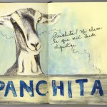 Panchita Sketchbook