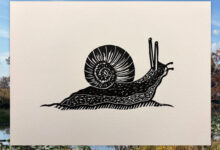 Other Prints