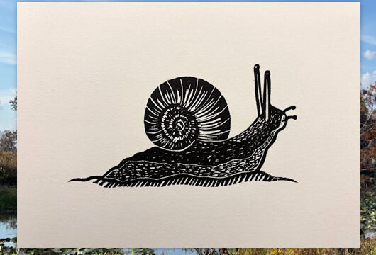 Other Prints